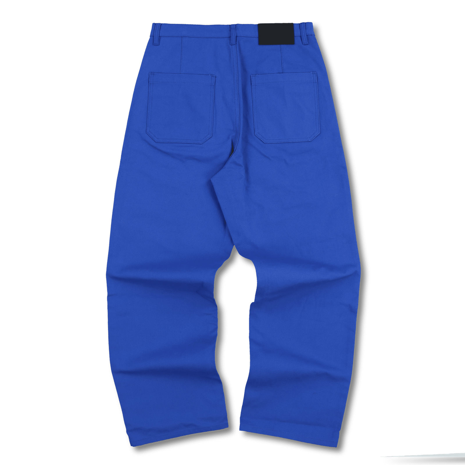 pleasures Formula Baggy Work Pants Blue